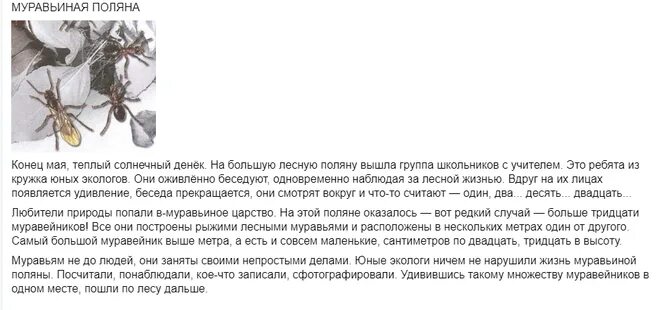 Великан на поляне насекомые. Великан на поляне про муравья. великан на поляне рассказ о бобрах. книжка великан на поляне про муравьёв!. полянки рассказ.