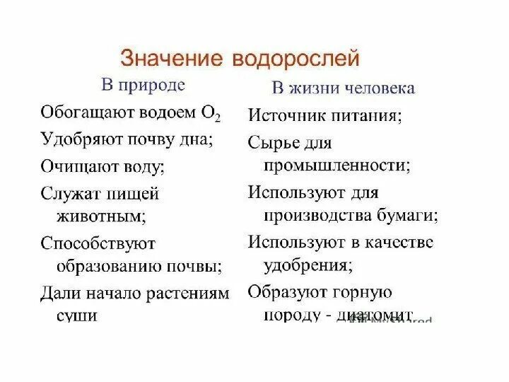 Значение водорослей в природе и жизни человека 5 класс биология. Таблица значение водорослей в природе и в жизни человека. Значение водорослей в природе и жизни человека 7 класс биология. Значение водорослей для человека 7 класс биология.