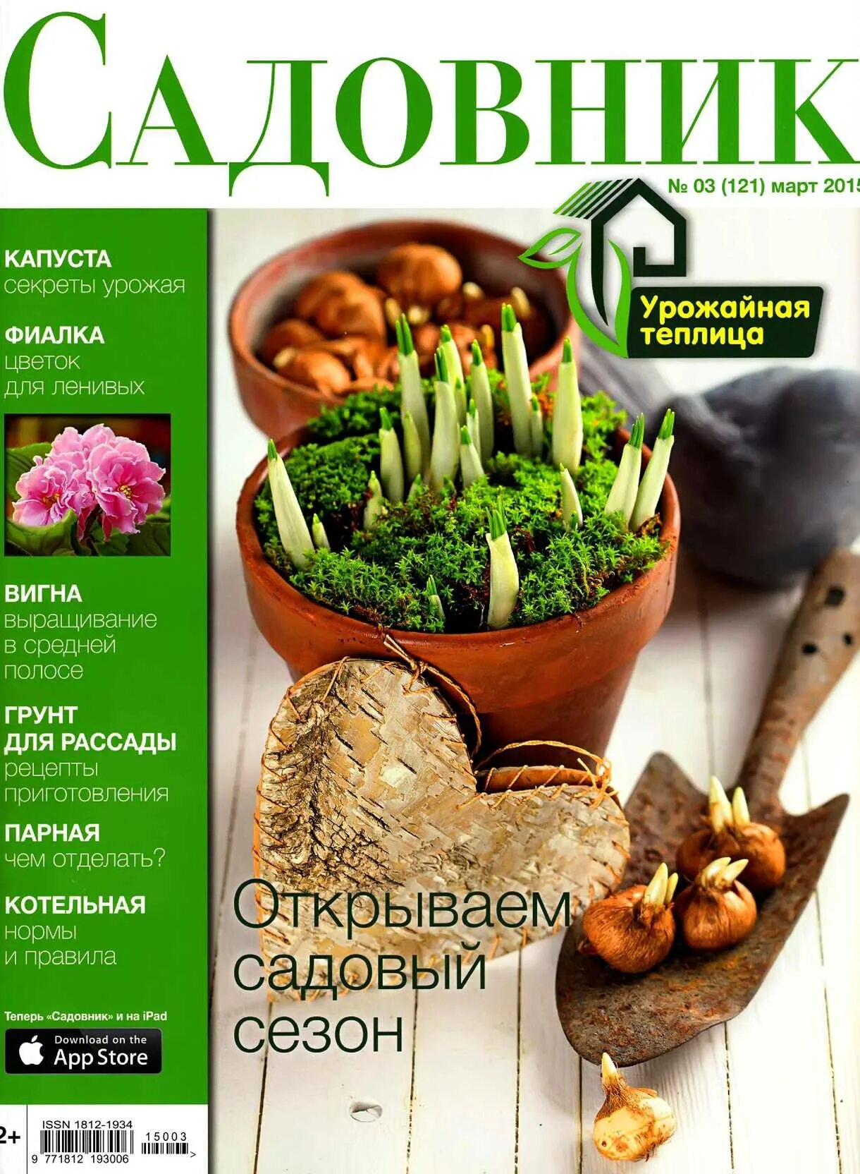 Садовник читать. Художники кестутис каспаравичюс. Садовник читать. Каспаравичюс. Овсей дриз книги для детей.