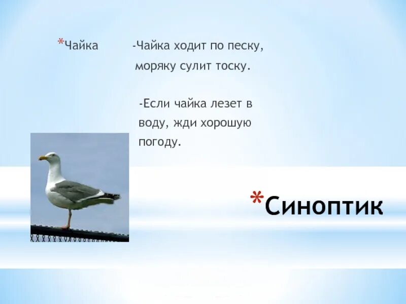 Текст про чаек. Чайка ходит. Чайка ходит по песку моряку. Предложение с чайкой. Предложения Чайки.