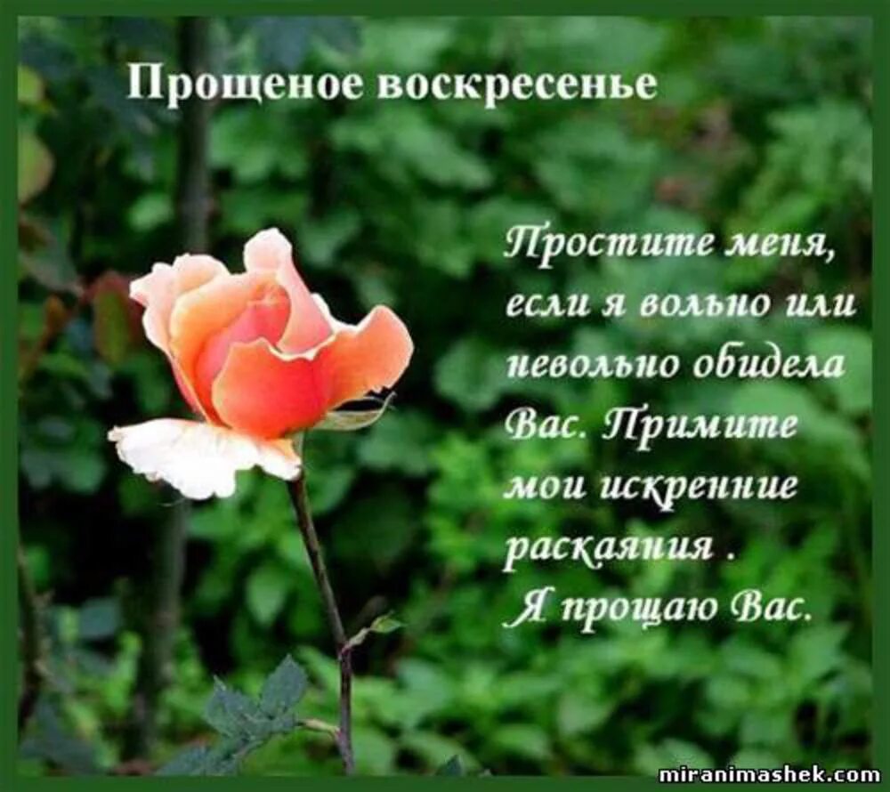 Как просить прощения в прощеное воскресенье. С прощенным воскресеньем. Прошу прощения в прощенное воскресенье. Прошу прощения у всех и я прощаю. Открытки с прощённым воскресеньем.