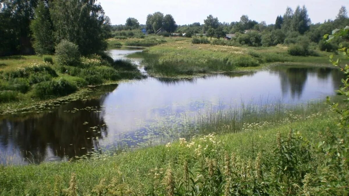 Мойка новгородская область. Деревня мойка Батецкий район. Деревня мойка Батецкий район Новгородская область. Деревня Скачели Батецкий район. Деревня Костково Лужский район Ленинградская область.