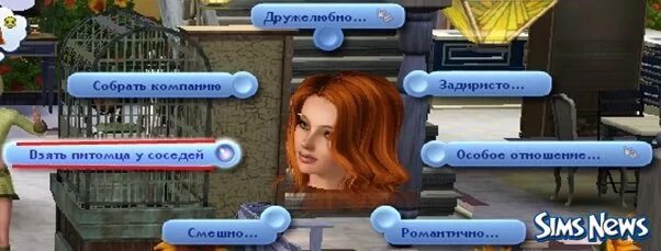 Как приютить питомца в симс. Приют для кошек симс 4. симс 3 животные приют. где в симс 4 приют для животных. как взять собаку из приюта в симс 4.