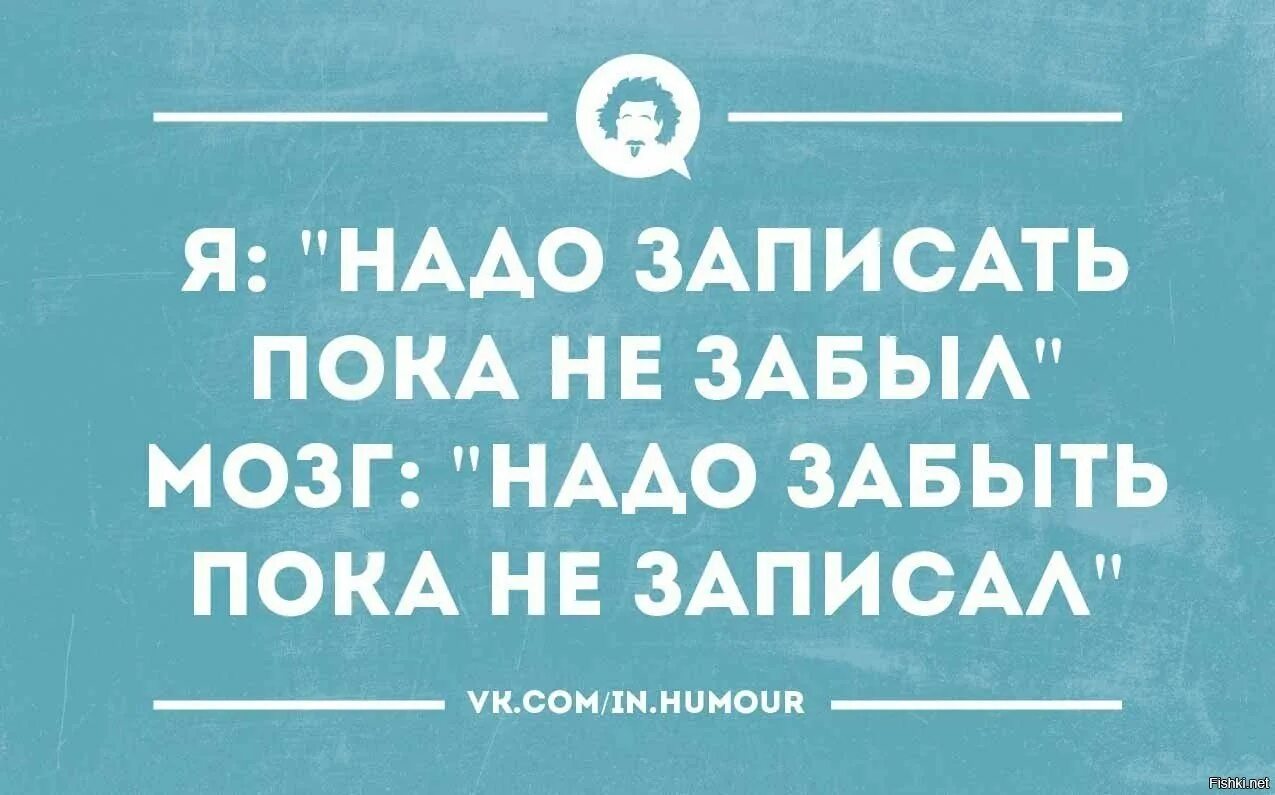 Анекдоты про мозг. Смешные шутки про мозг. Смешные афоризмы про мозг. Цитаты про мозги смешные. Нужно не забыть указать