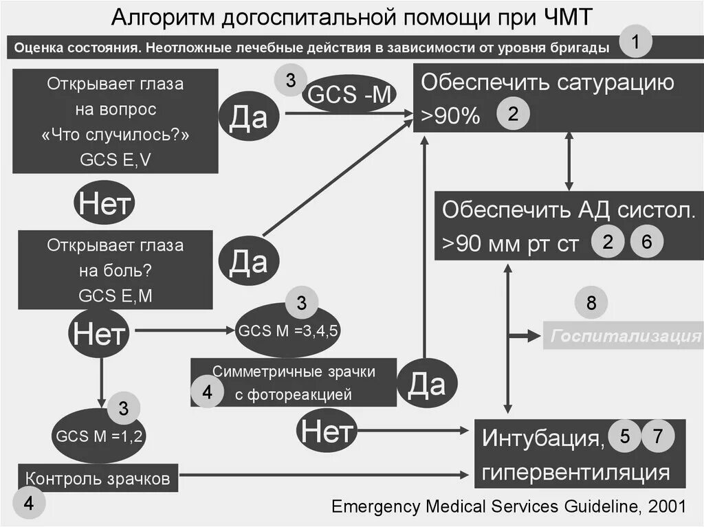 Неотложная помощь при черепно мозговой травме. Алгоритм при черепно-мозговой травме. алгоритм помощи при черепно мозговой травме. алгоритм оказания помощи при чмт. алгоритм оказания неотложной помощи при чмт.