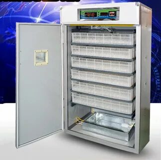 Инкубатор для перепелов
