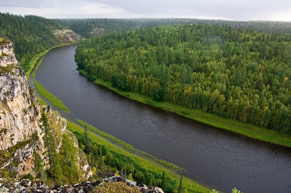 Река печора республика коми. Река пижма Республика Коми. Тиманский Кряж Коми. Печорская пижма река.