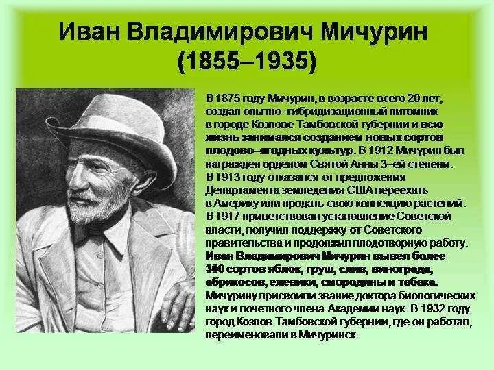 Биография мичурина ивана владимировича кратко. Биография мичурина ивана владимировича кратко. Биография мичурина ивана владимировича кратко. Биография мичурина ивана владимировича кратко. Биография мичурина ивана владимировича кратко.