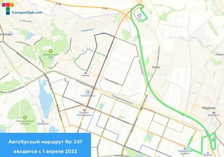 Расписание 247