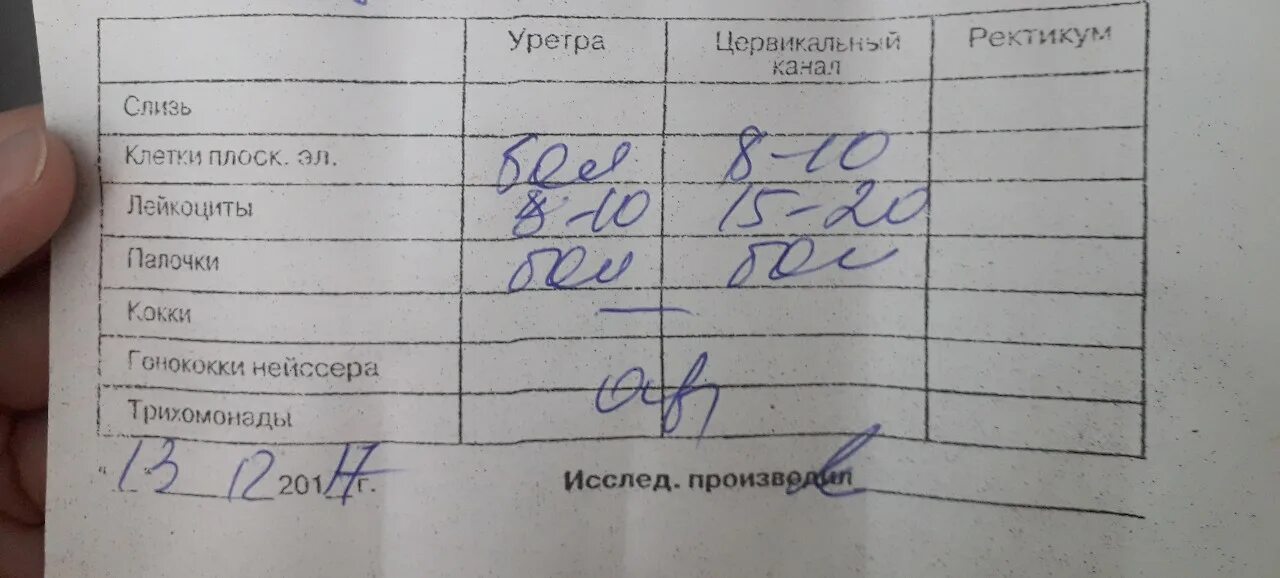 Мазок гонококки нейссера. Исследование мазков на гонококки расшифровка. Анализ мазка на гонококки нейссера. Мазок гонококки нейссера. Исследование мазков на гонококки норма.