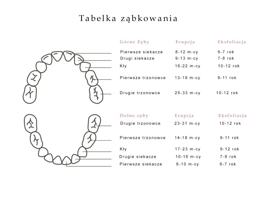 Зубы по возрасту таблица. Схема прорезывания зубов у малышей. Порядок прорезывания зубов у детей до 2 лет. Прорезывание зубов у детей сроки таблица. Рост зубов у детей таблица.