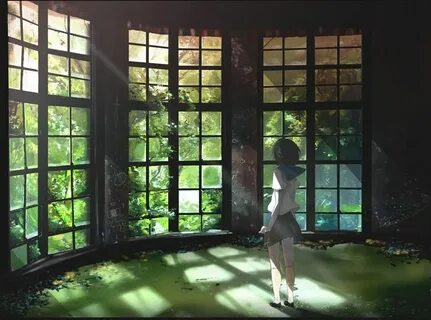 Miss window