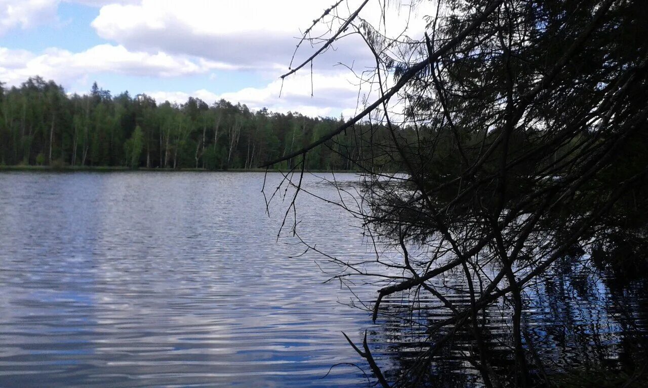 Интернет в озерах. Озеро Морозово. Озеро Морозово Московская область. Озеро Морозово Дмитровский район. Озеро Морозово Солнечногорский.