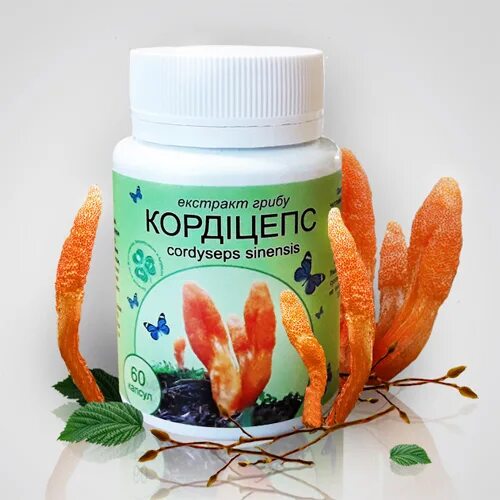 ,. Жидкий кордицепс китайский императорский 30мл. Кордицепс аптека. Бад с грибами кордицепс. Гриб карди кордицепс.