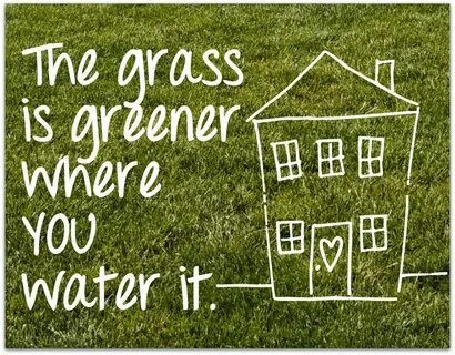Grass is greener