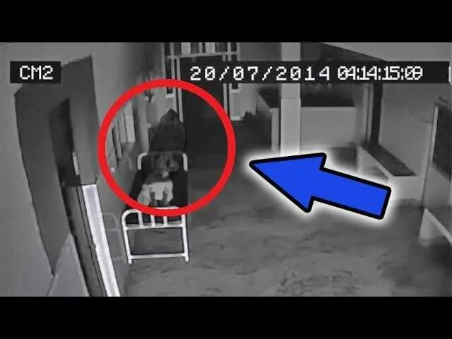 Существуют ли фиксики в реальной. Фиксики в реальной жизни настоящие. Фиксакй в реальной жизни. Фиксики в реальной жизни. Настоящих фиксиков.