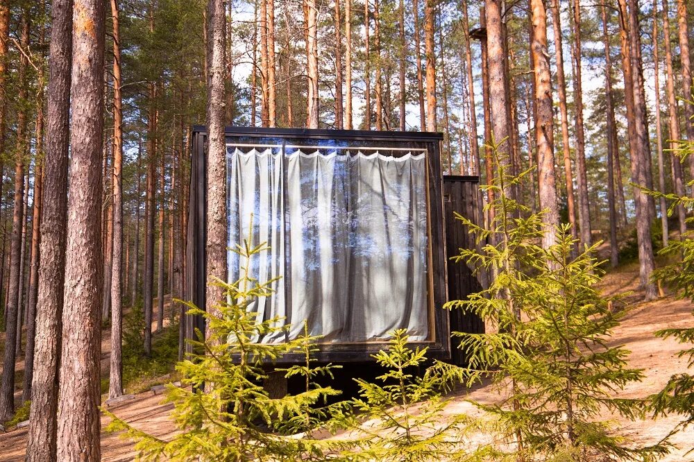 Тайни хаус гринвальд парк. Гринвальд парк скандинавия озеро. Парк гринвальд в спб. Greenwald парк скандинавия. Парк скандинавия поселок горки.