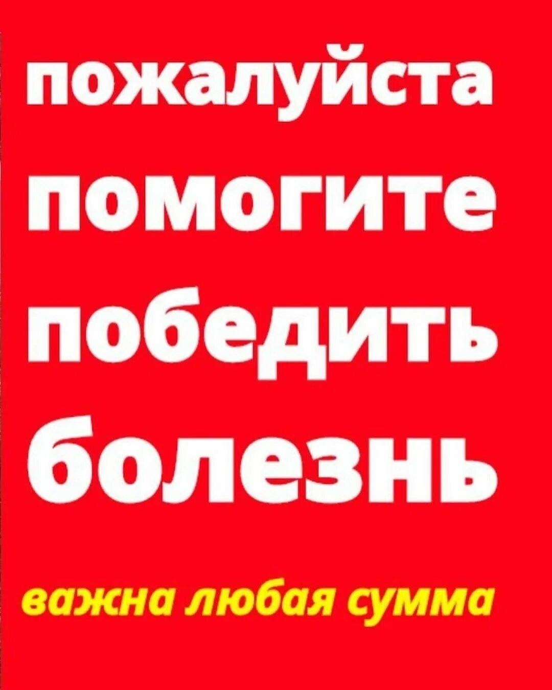 сос помощь бездомным животным муром. помощь бездомным животным вк. сос помощь бездомным животным муром. сос помощь бездомным животным муром. сос помощь бездомным животным муром.