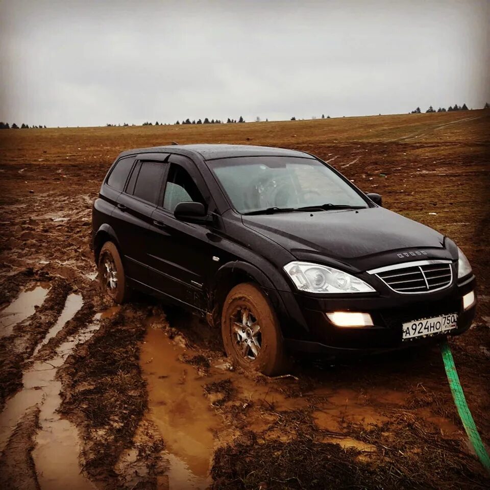 ССАНГЙОНГ Кайрон. Красивый SSANGYONG Kyron. Саньенг Кайрон фото. Кайрон на природе. Куплю авто кайрон