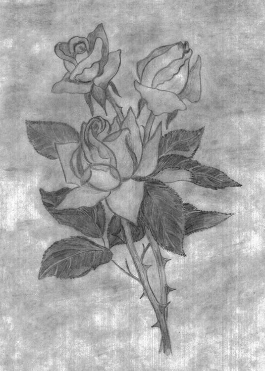 Рисунок одним цветом карандашом. Картины цветы карандашом. Рисунки карандашом розы красивые. Цветок рисунок карандашом простой. Роза рисунок.