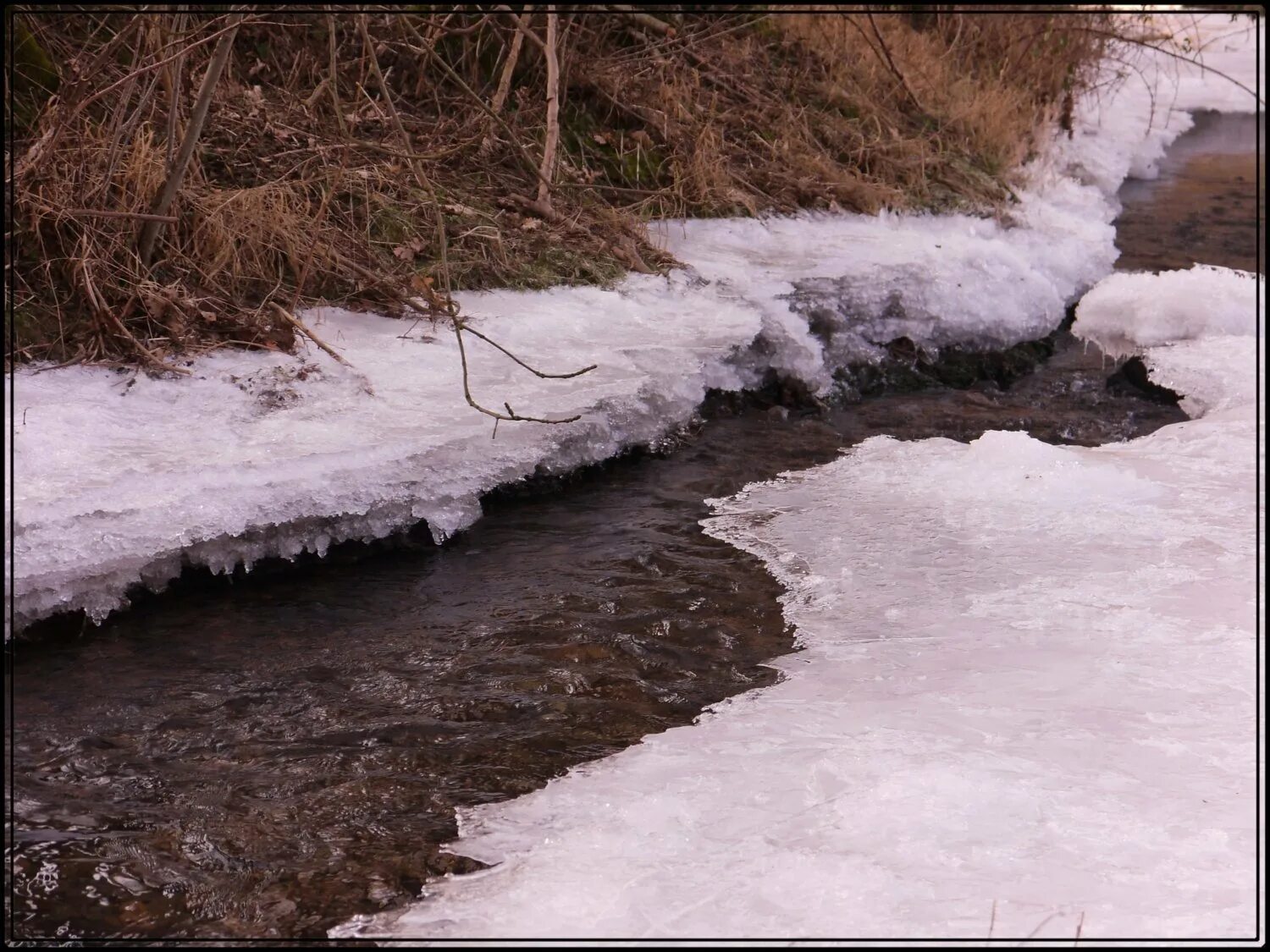 Вода бежит с ручьями споря. Весенние ручьи. Бегут ручьи. Тает снег бегут ручьи.