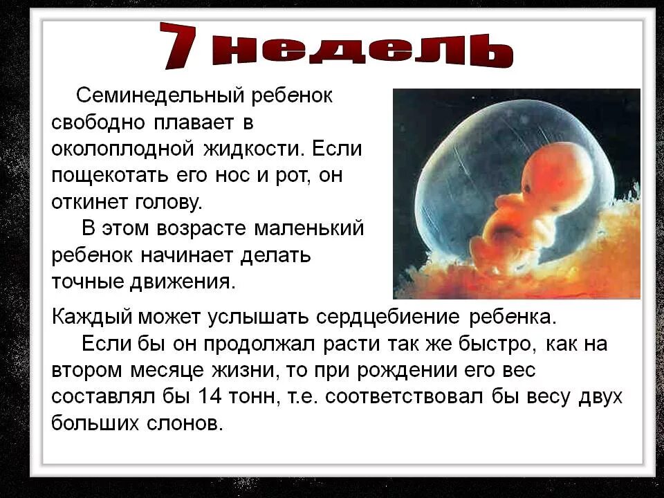 ☊ WEEK7