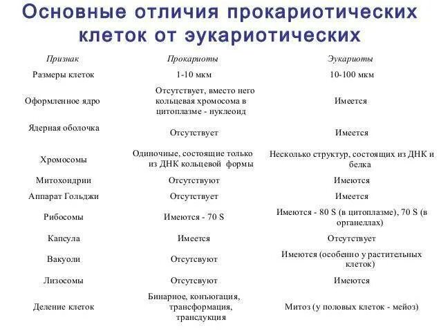 Признаки отличающие строение. Таблица отличие клеток эукариот. Различие эукариот от прокариот. Характерные признаки прокариот и эукариот таблица. Отличия эукариотической и прокариотической клеток таблица.