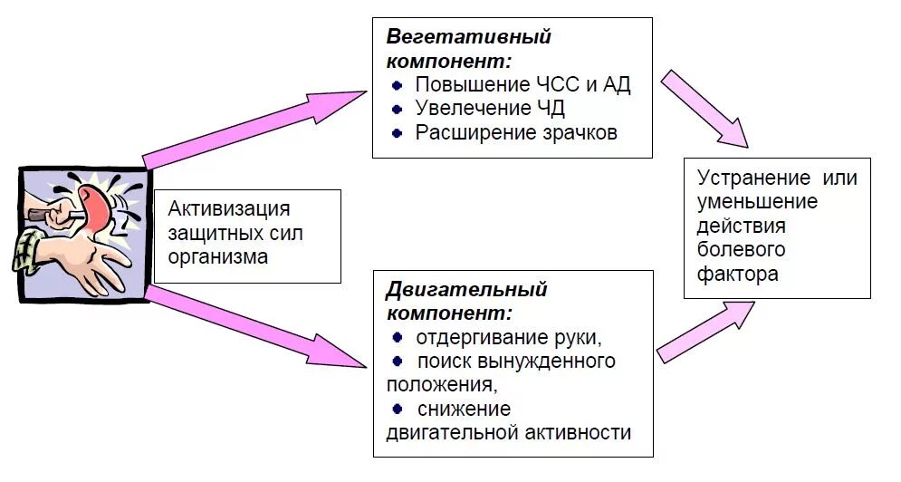 Болезненно реагирует. Реакция организма на боль. Общие реакции организма на боль. Компоненты реакции организма на боль. Боль защитная реакция организма.