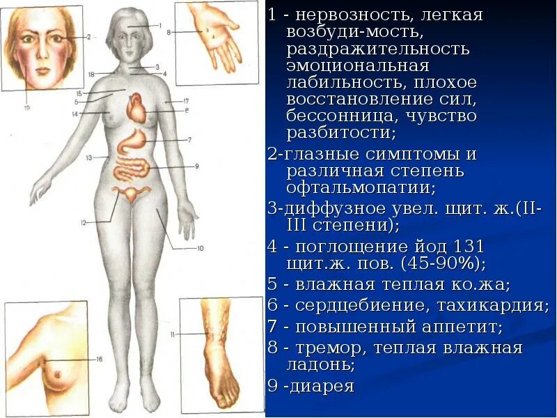 Проксимальной слабости. Проксимальные мышцы. Проксимальные отделы мышц. Проксимальные группы мышц. Претибиальная микседема.