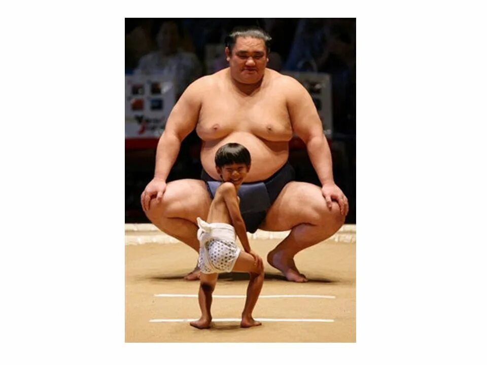 карлики на плечах гигантов