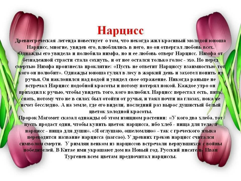 Почему любят нарциссов. Легенда о Нарциссе. Миф о цветке Нарциссе. Легенда о Нарциссе для детей. Легенда о Нарциссе кратко.