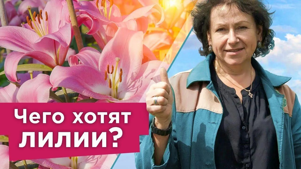 Сколько времени цветет лилия