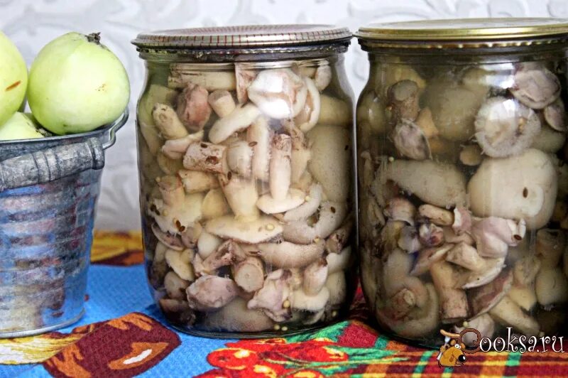 Маслята с уксусом на зиму. Консервация маслят. маслята маринованные на зиму. маслята в банке. сыроежки маринованные.