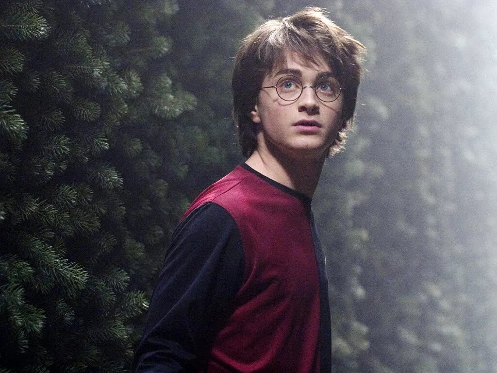 Дэниел Рэдклифф Поттер. Дэниел Рэдклифф Harry Potter. Гари пон