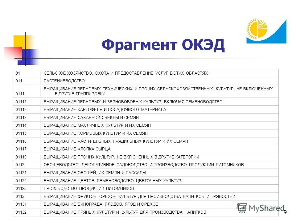 Вид деятельности ип в казахстане. Окэд рк. Окэд рк розничная торговля автомобильными запчастями. Оквэд в казахстане. Торговля розничная прочая в неспециализированных магазинах.