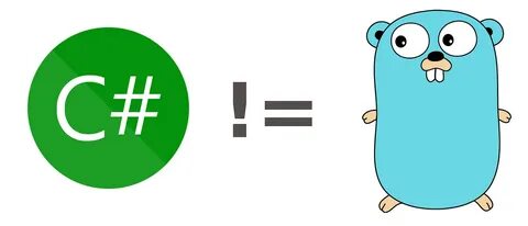 Golang input