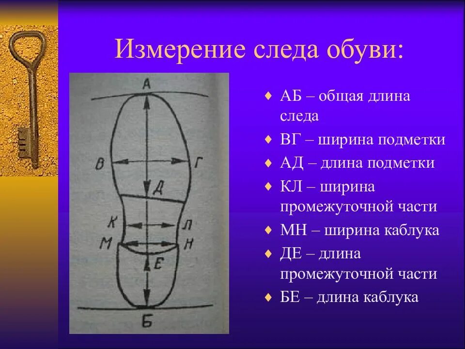 Криминалистическое значение следов человека