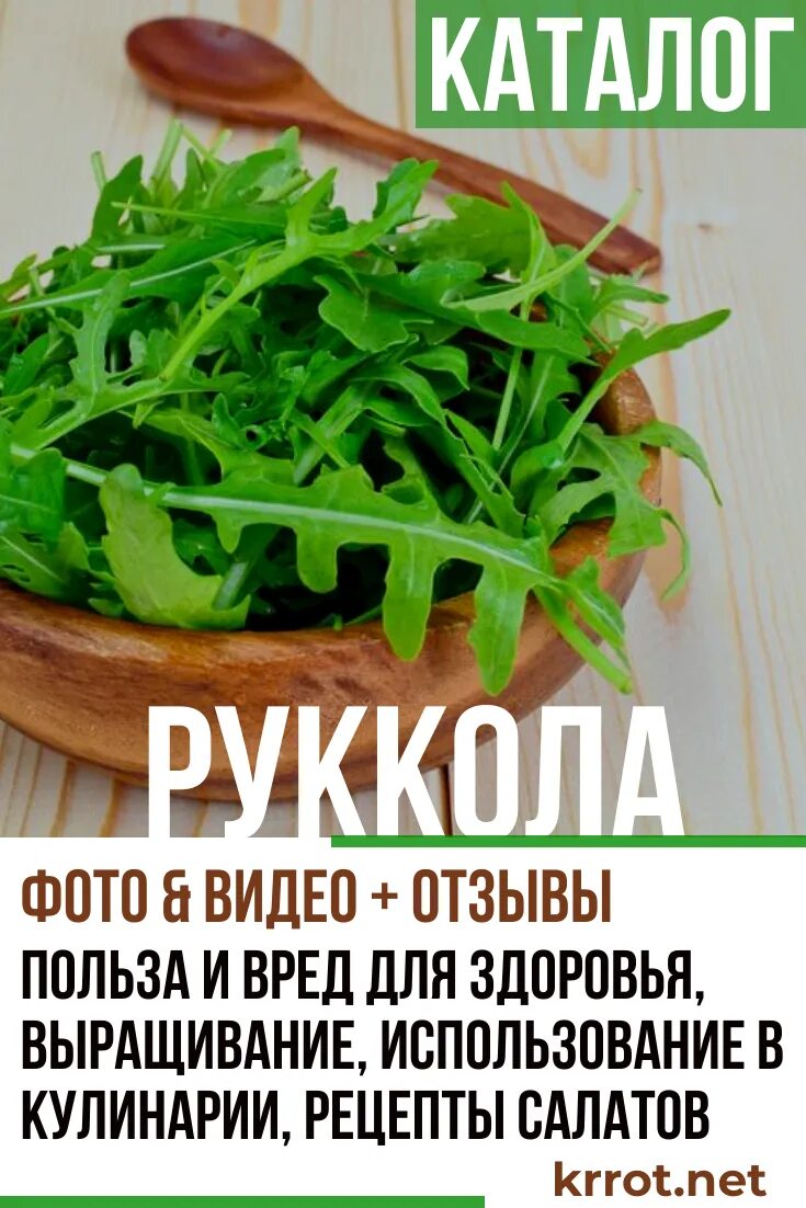 Полезные вещества в рукколе. Eruca sativa руккола. Руккола полезные и вредные свойства. Чем полезна руккола для организма. Витамины в рукколе.