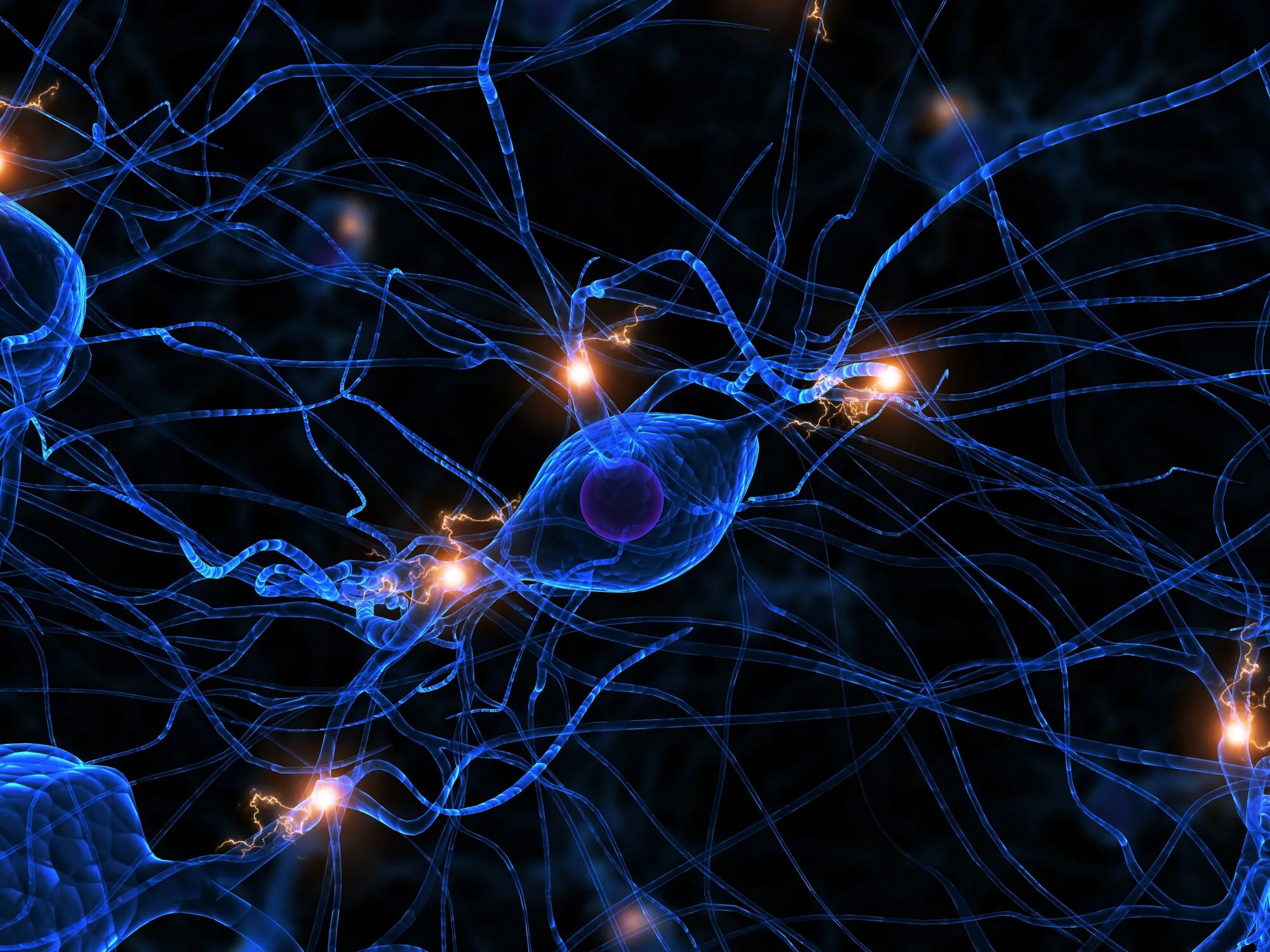 Сеть нейронов в мозге. Сеть нейронов в мозге. Neuronnye sviazi. Нейрон и нейронные сети 50-е года. Нейроны.