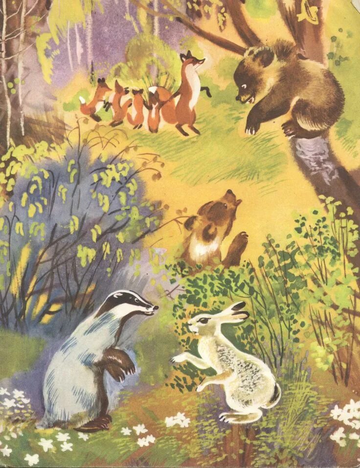 Барсук косуля в картинках для конкурса. Какие животные водятся в наших лесах. Барсук и заяц. Барков "барсучья кладовая". "в гостях у барсука".