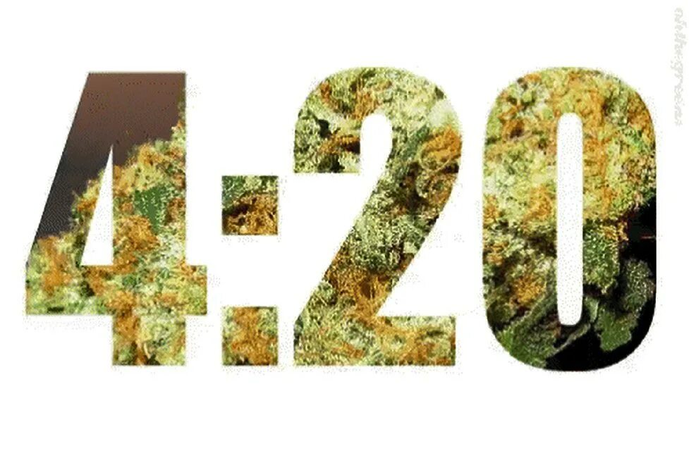 В день 4 20 г