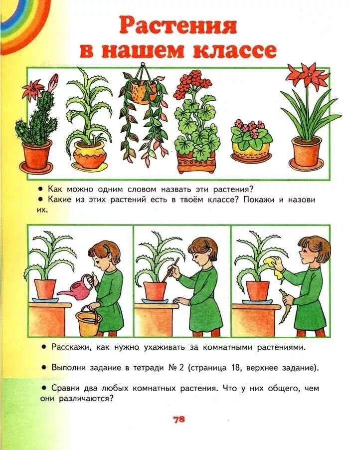 Растения первый класс. Комнатные растения задания 1 класс. Мир растений 1 класс. Комнатные растения задания для детей 2 класс. Растения 1 класс.
