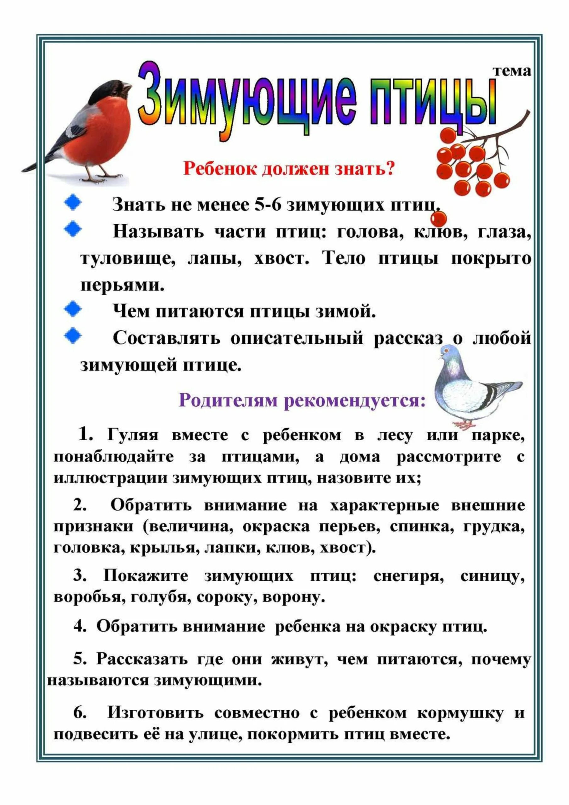 Тематическое планирование тема зимующие птицы старшая группа. Зимующие птицы рекомендации для родителей средняя группа. зимующие птицы тема недели для родителей. лексическая тема зимующие птицы рекомендации для родителей. зимующие птицы рекомендации для родителей подготовительная группа.