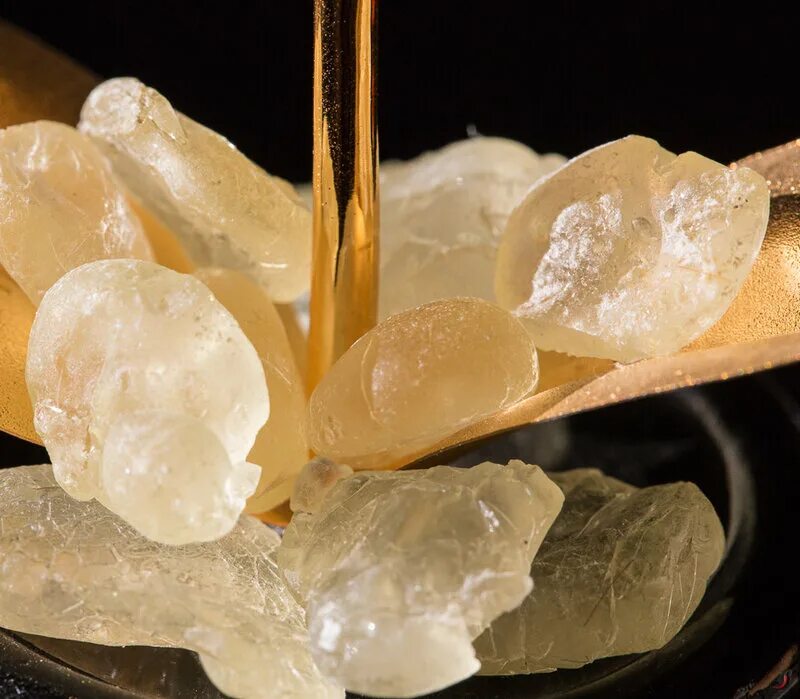 Резиновой битумная мастика 24 технониколь. Мастиковая смола хиос. Мастика смола. Мастика смола. Липкая субстанция.