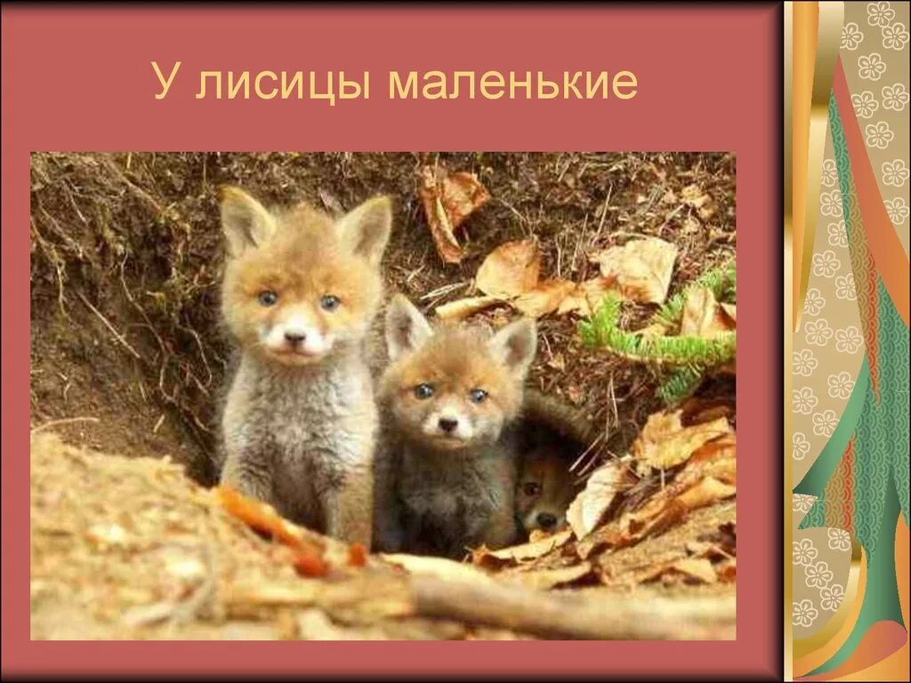 Про лису и ее норку