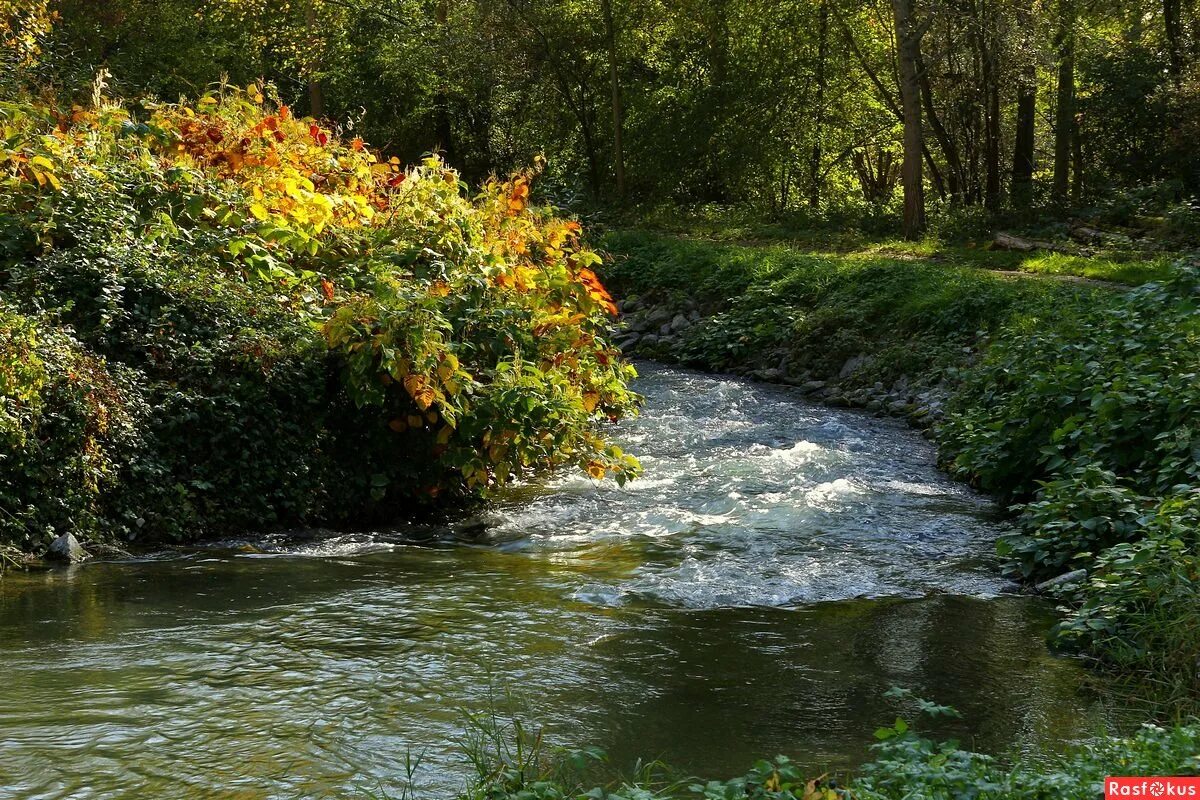 текущая река. течет река бежит река.