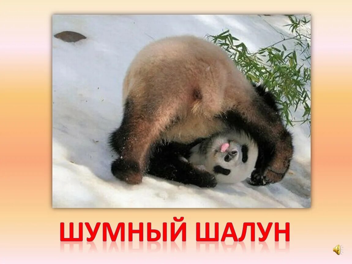 Когда все надоело и не хочется ничего. Медведь шалун. если все надоело. надоело картинки прикольные. фото все надоело.