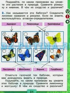 Окружающий мир 1 класс с 29