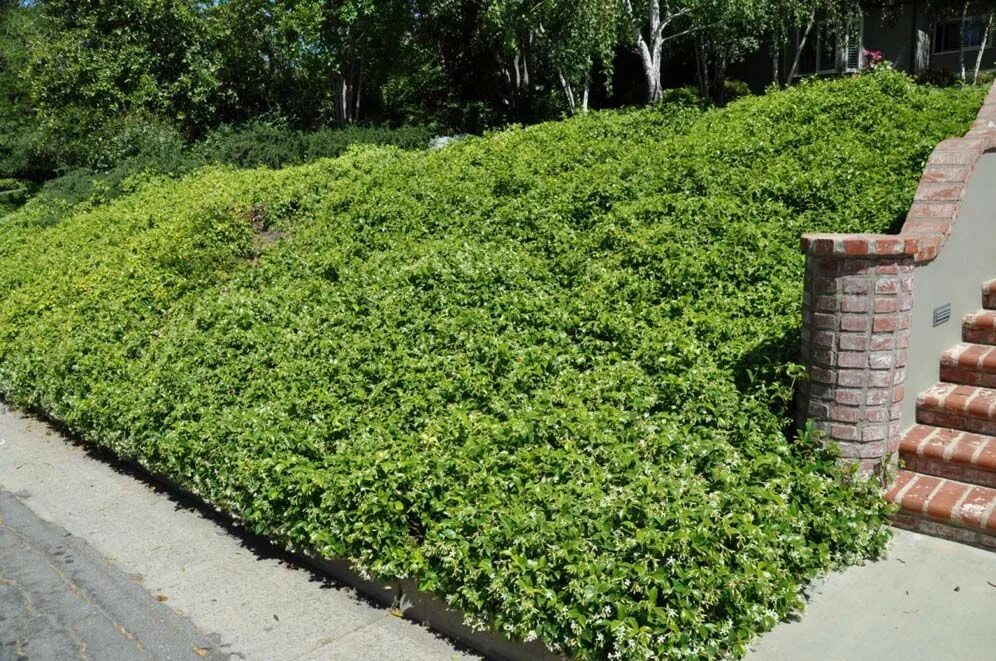 Covering ground