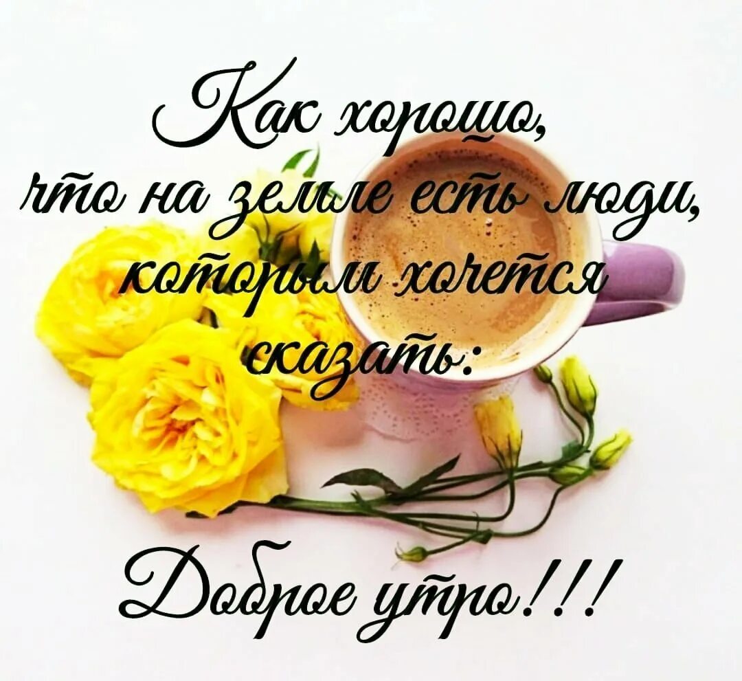 Пожелания доброго утра афоризмами